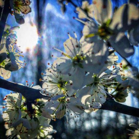 20240303_172819672_iOS