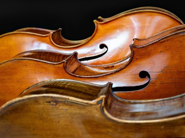 cello-4480885_1280